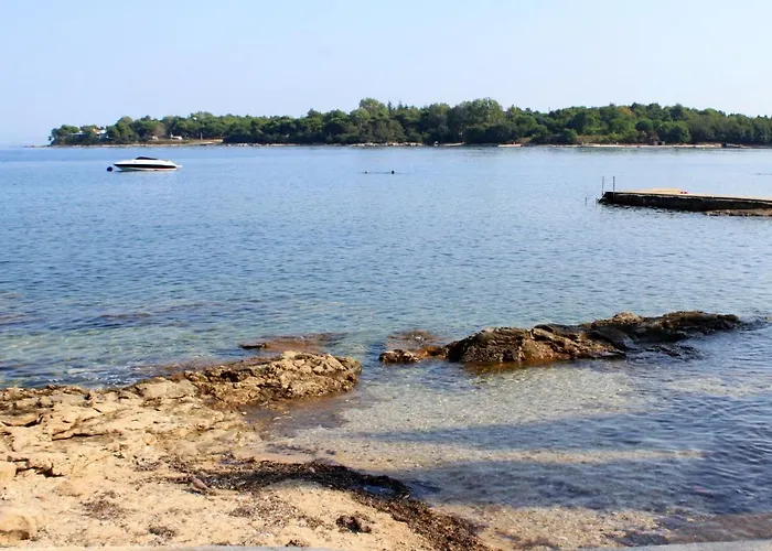 13589a 사부드리자