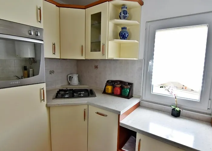 13589a 사부드리자